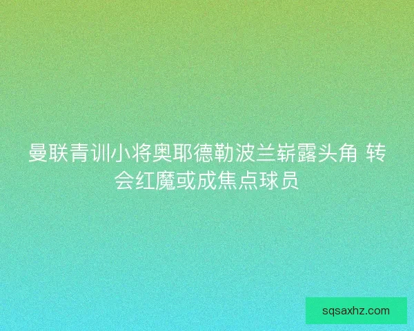 曼联青训小将奥耶德勒波兰崭露头角 转会红魔或成焦点球员 曼联青训小将奥耶德勒波兰崭露头角 转会红魔或成焦点球员